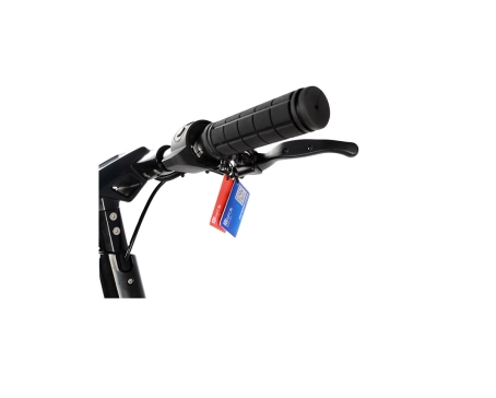 Trottinette électrique Unisexe DUALTRON DOLPHIN 36V 12Ah Noir